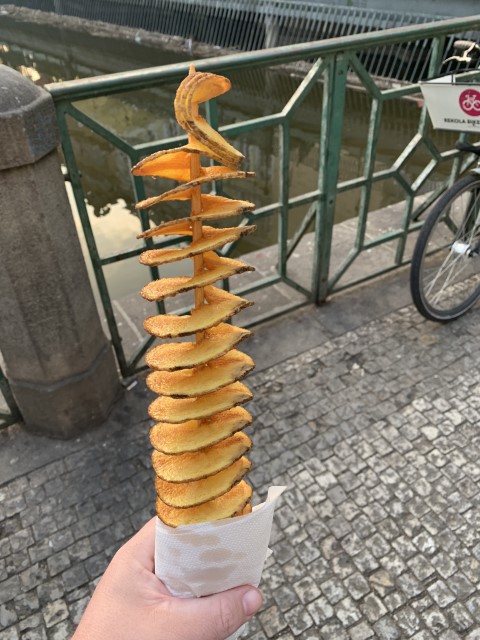 IMG 2508