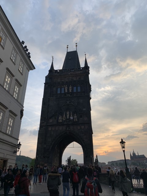 IMG 2510