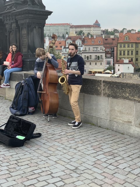 IMG 2538