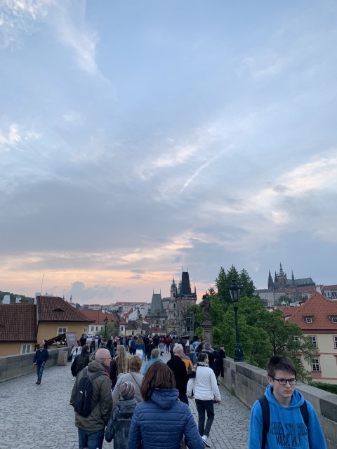 IMG 2551