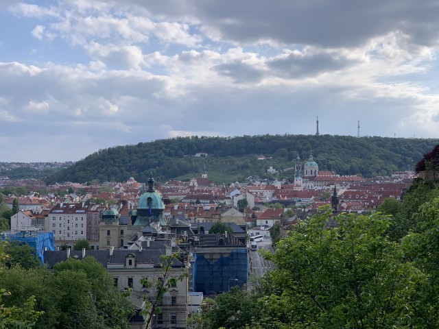 IMG 3457