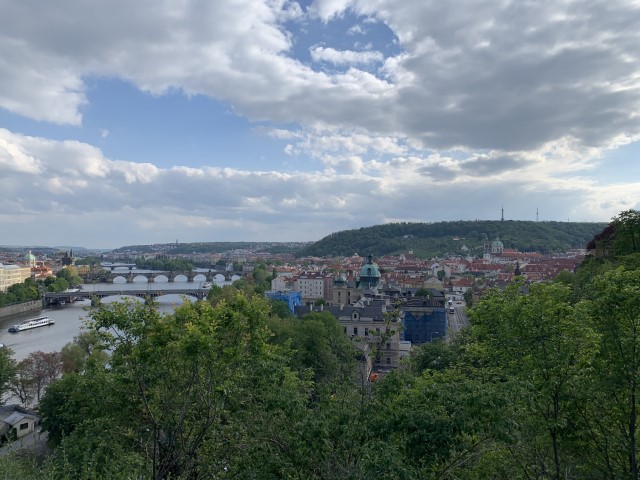 IMG 3458