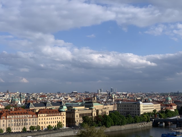 IMG 3469