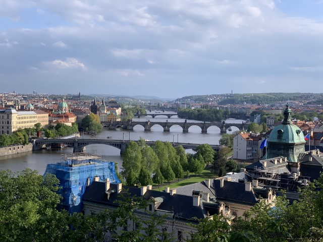 IMG 3473