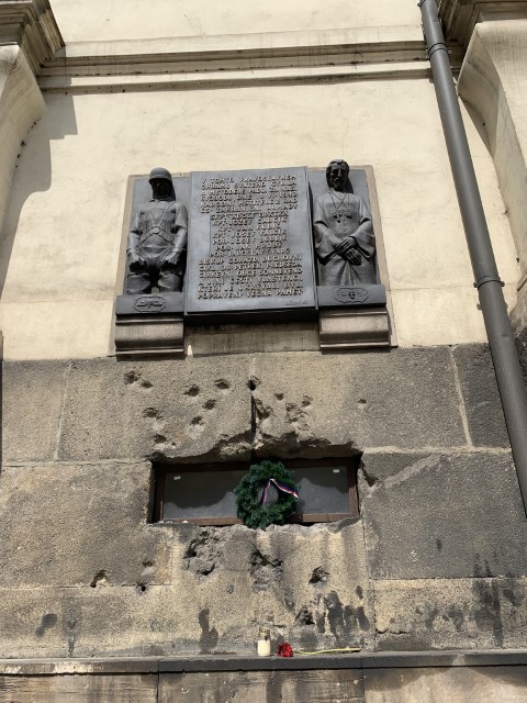 IMG 3608