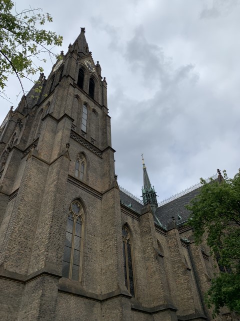 IMG 3640