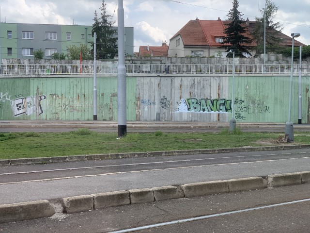 IMG 3645