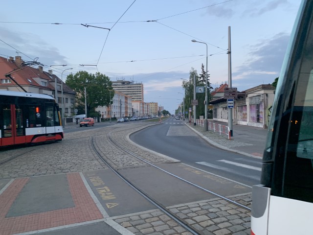 IMG 3713