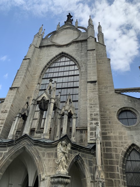 IMG 2225