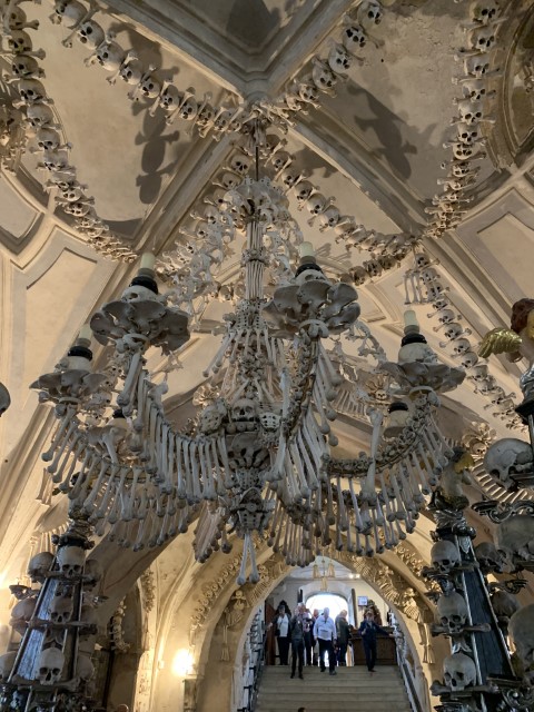 IMG 2250