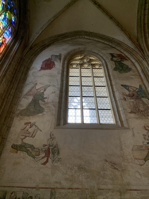 IMG 2351