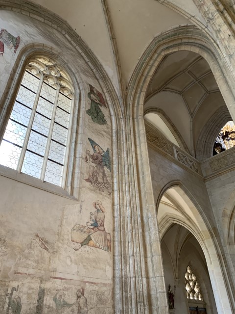 IMG 2354