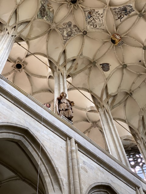 IMG 2360