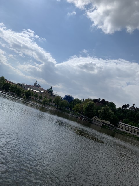 IMG 3353