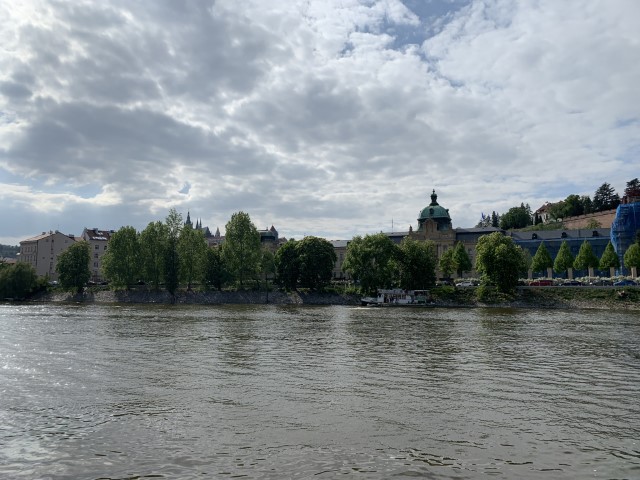 IMG 3361