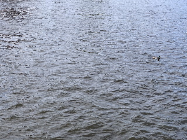 IMG 3376