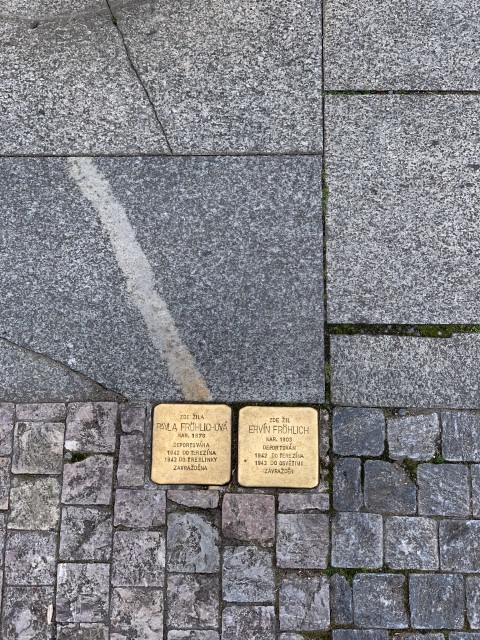 IMG 3348