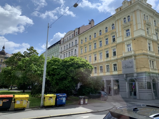 IMG 3533