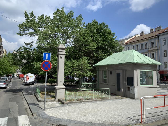 IMG 3541