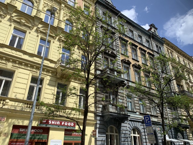 IMG 3546