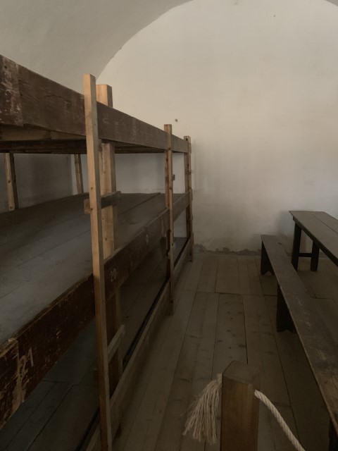 IMG 2632