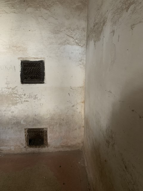 IMG 2643