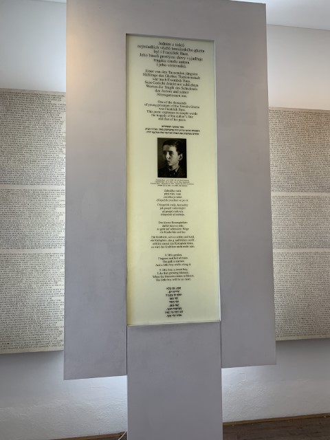 IMG 2749