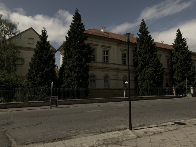 IMG 2774