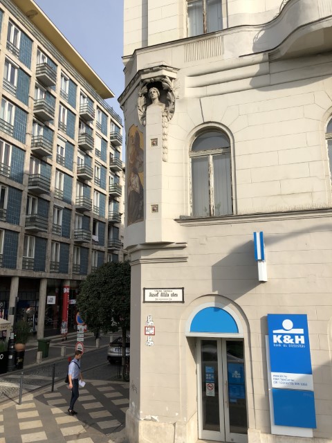 IMG 4642