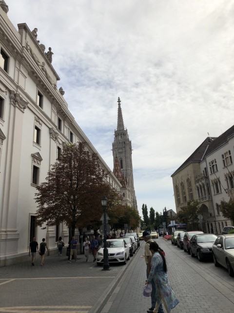 IMG 4877