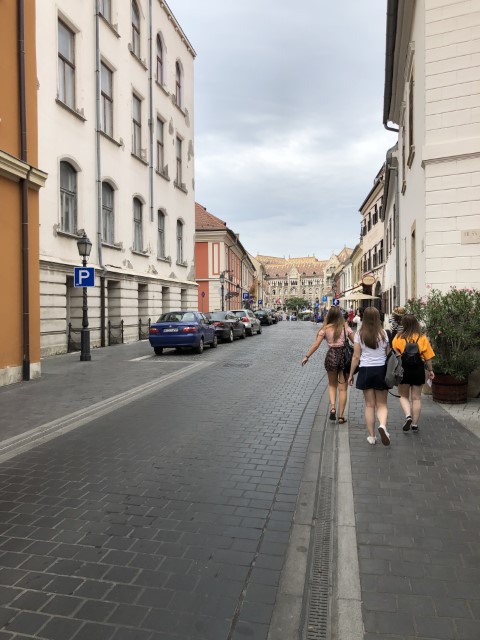 IMG 4906