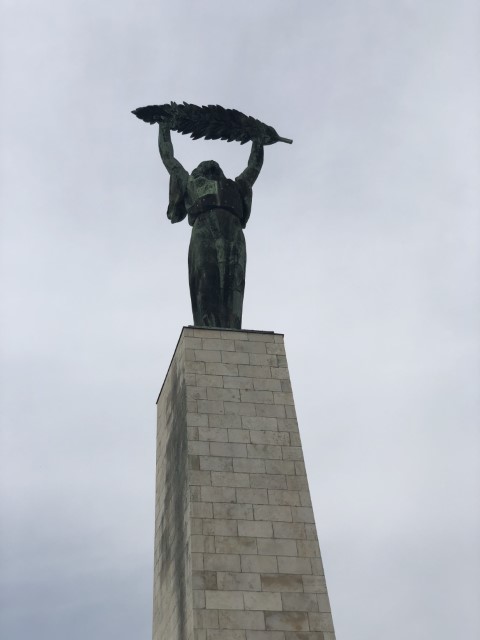 IMG 5501