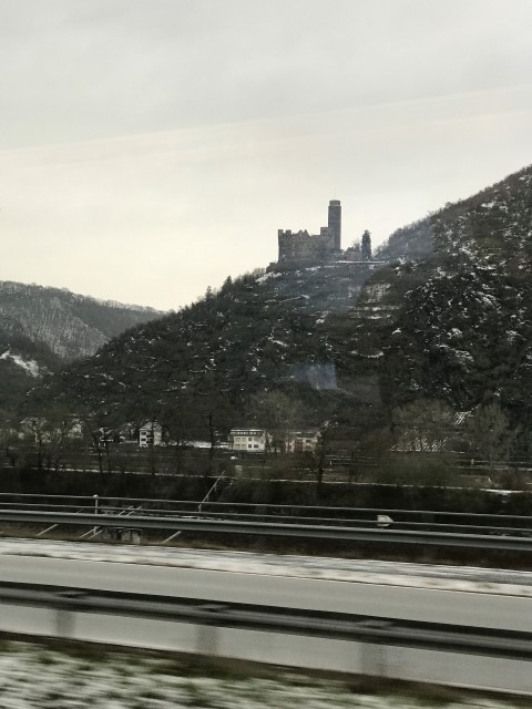 IMG 1115