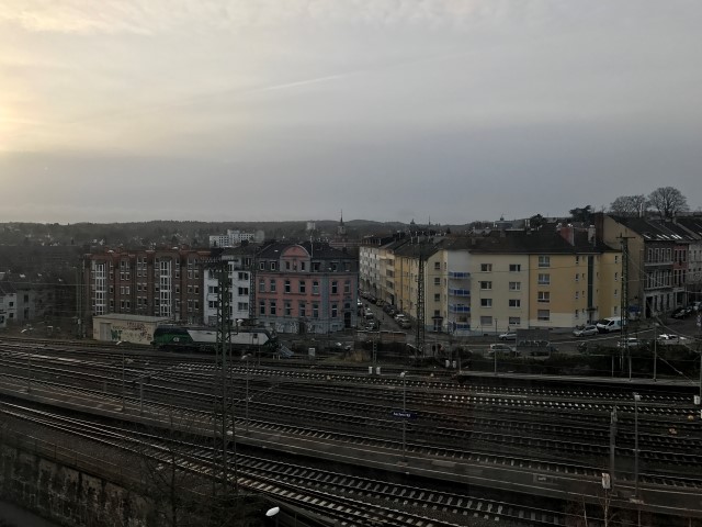 IMG 1250