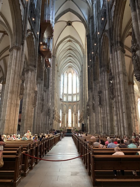 IMG 7048