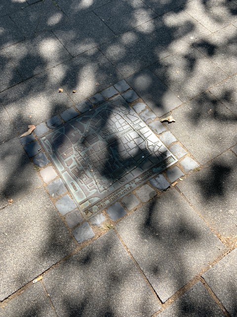 IMG 7145
