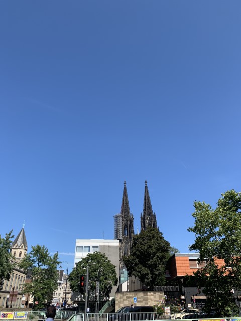 IMG 7163