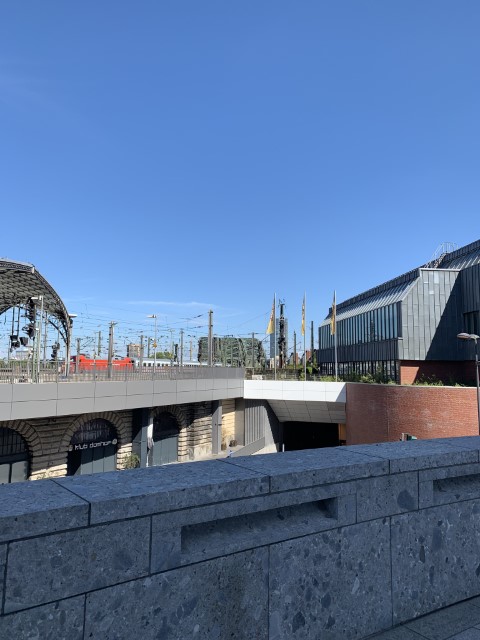 IMG 7169