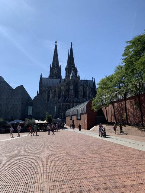 IMG 7172
