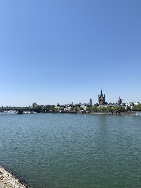 IMG 7464