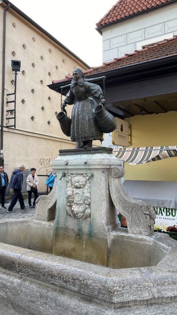 IMG 0213