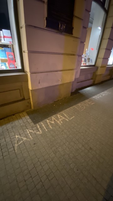 IMG 0236