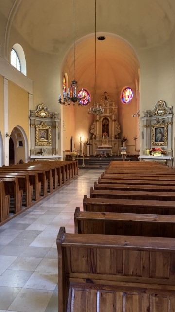 IMG 0254