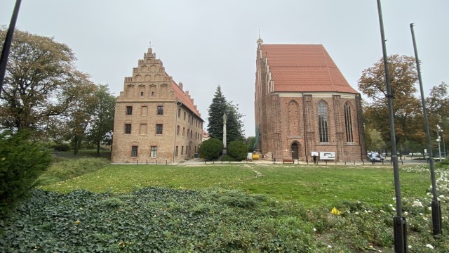 IMG 0320