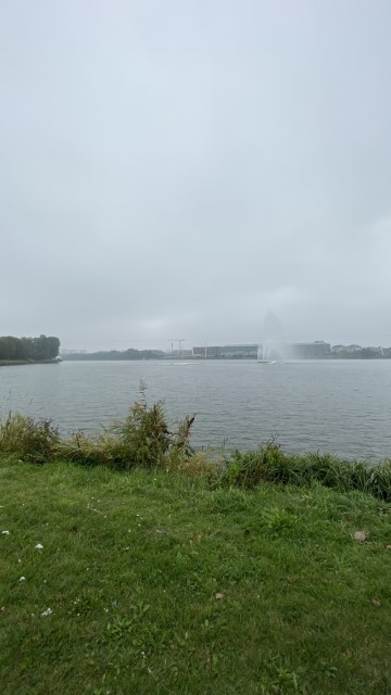 IMG 0411