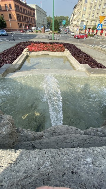 IMG 0427