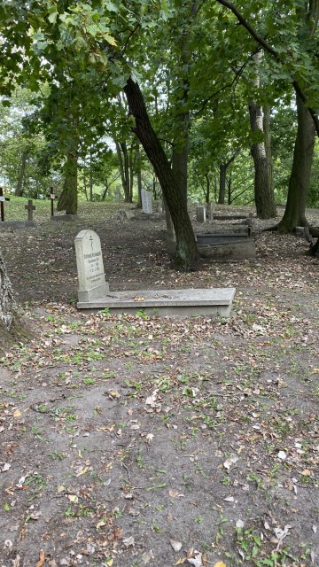 IMG 0500