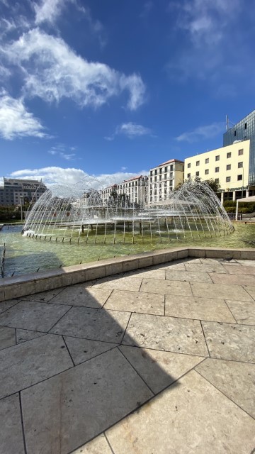 IMG 3066