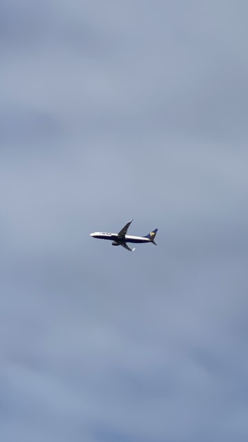 IMG 3289