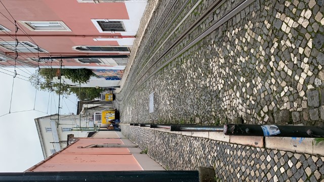 IMG 3517